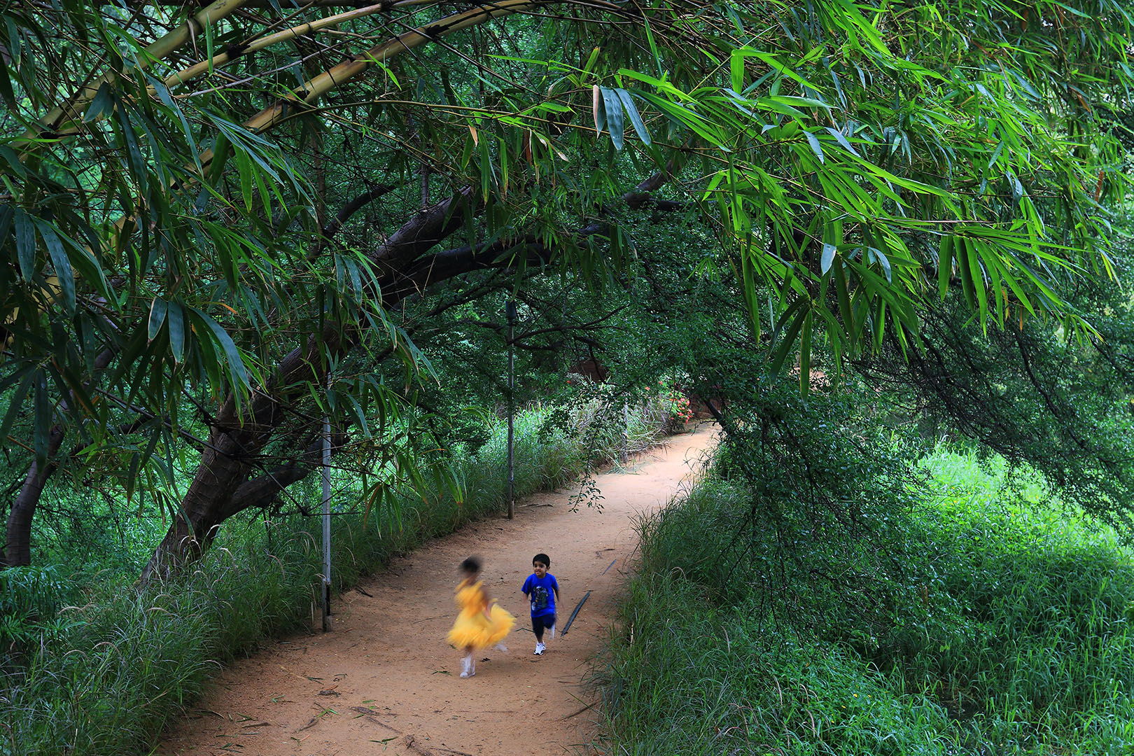 193 | Hyderabad 2014